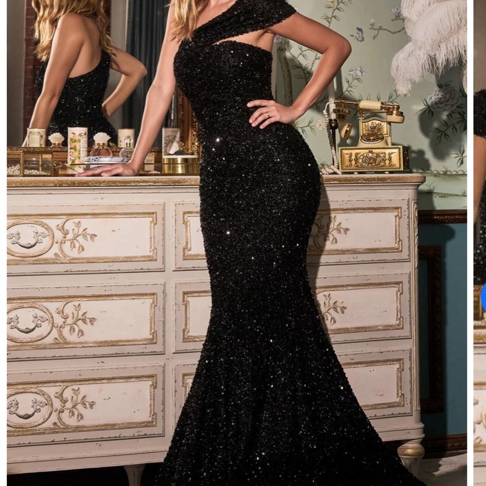 I am selling my old prom dress it is a B chic Fashion Cinderella divine dress